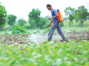 735481 spraying insecticides on crops